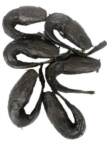 Catfish Ring