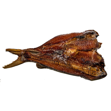 Koepila zonder Kop