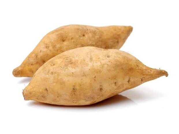 Witte Zoete Aardappel