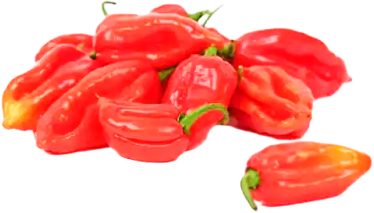 Adjuma Rood