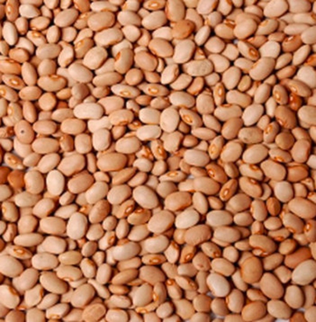 Nigerian Honey Beans 5kg