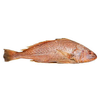 Crocker 8kg