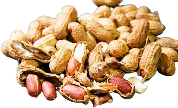 Raw peanuts Uganda