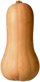 Flespompoen