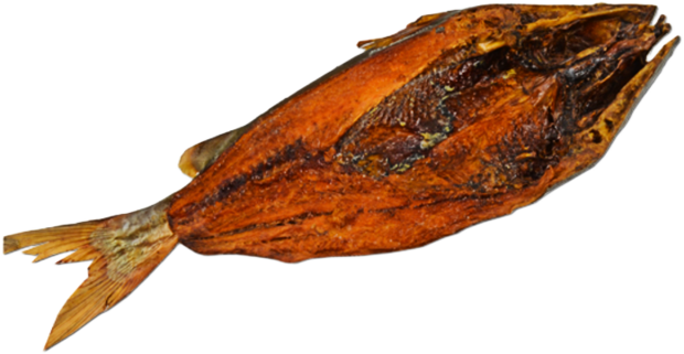 Koepila