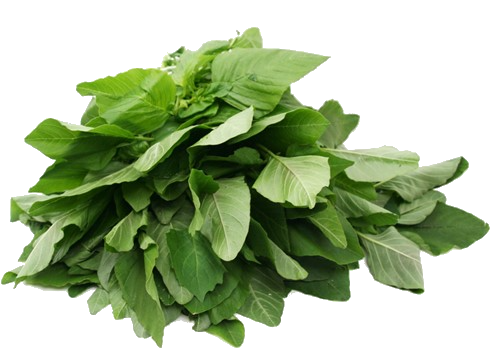 Marsa (grove klaroen) 