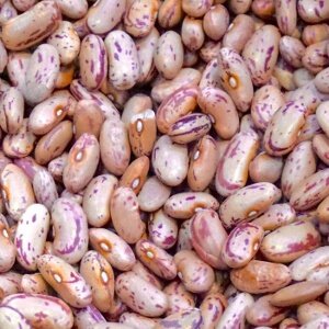 Coco Rose/ Pinto Beans 25kg