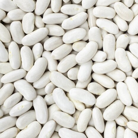 Alubia/ White Kidney Beans 1kg