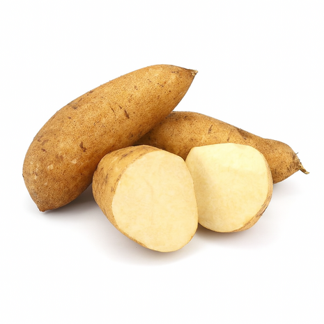 Witte Zoete Aardappel