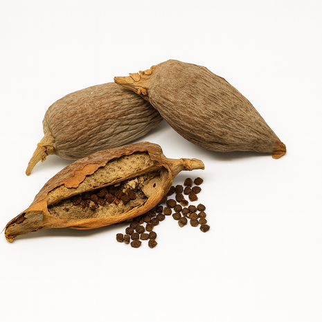 Alligatorpeper (Nigeria)