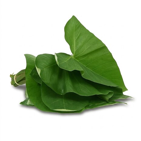 Tayerblad 500gr &mdash; Surinaamse bladgroente voor pomtajerblad-stoof | Tokoram.nl