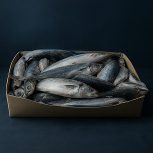 Horse Mackerel (Portugal) 10kg