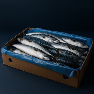 Makreel (Noorwegen) 20kg