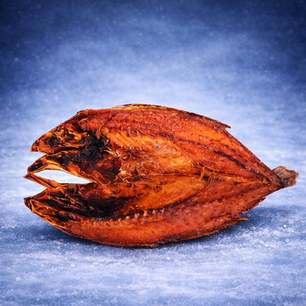 Wit Wittie verpakt 2/3st