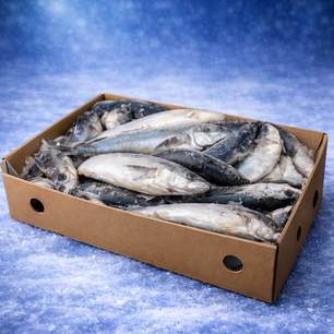 Horse Mackerel (Portugal) 8kg packed