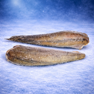 Merluza Headed&Gutted 800/1200